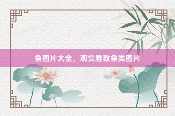 鱼图片大全，观赏雅致鱼类图片